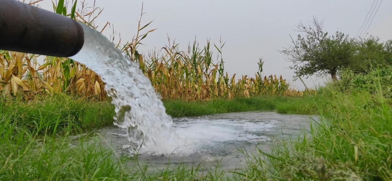 Tube-well irrigation watering a crop field